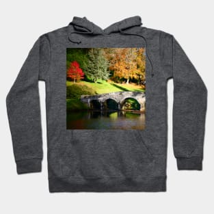 The Palladian Bridge, Stourhead Hoodie